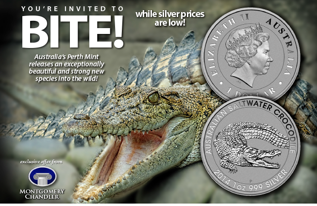 2014 Australian Crocodile